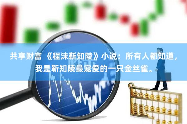 共享财富 《程沫靳知陵》小说：所有人都知道，我是靳知陵最宠爱的一只金丝雀。