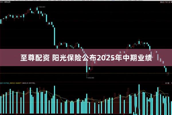至尊配资 阳光保险公布2025年中期业绩