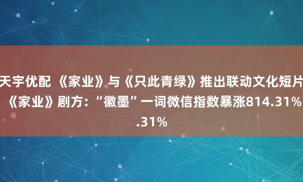 天宇优配 《家业》与《只此青绿》推出联动文化短片 《家业》剧方: “徽墨”一词微信指数暴涨814.31%