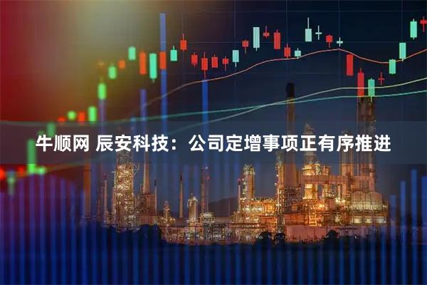 牛顺网 辰安科技：公司定增事项正有序推进